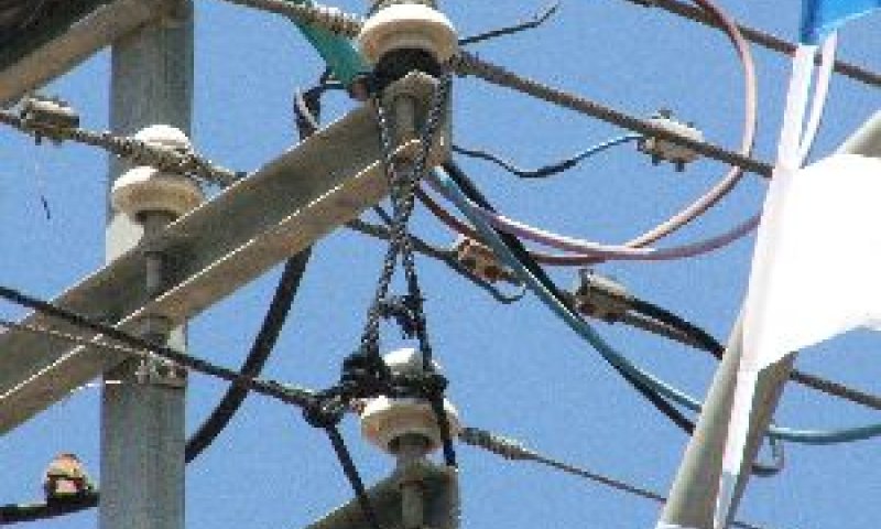מנצלת פרצות בנהלי הרשויות -ורושמת רווחים [צילום: חברת החשמל]