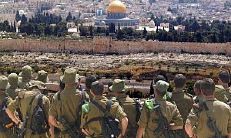 [צילום: יח"צ]