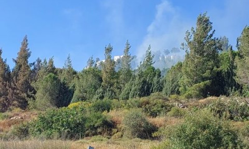 עשן בעין לבן [צילום: דוברות המשטרה]