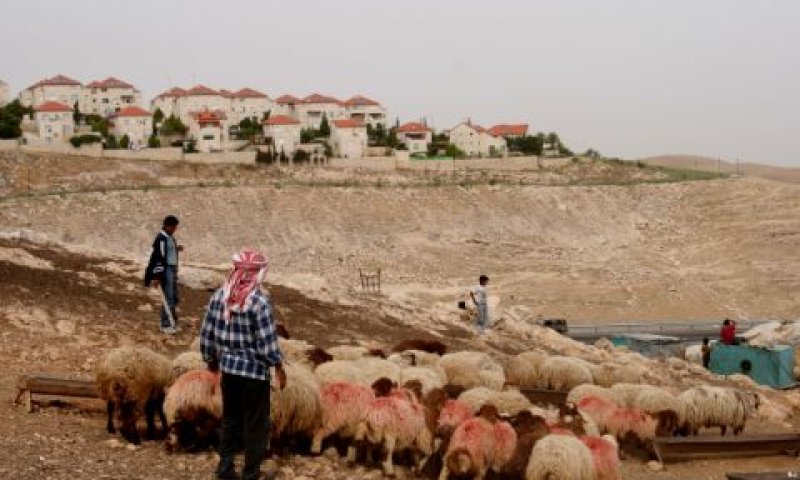 [צילום אילוסטרציה: יניב נדב, פלאש 90]