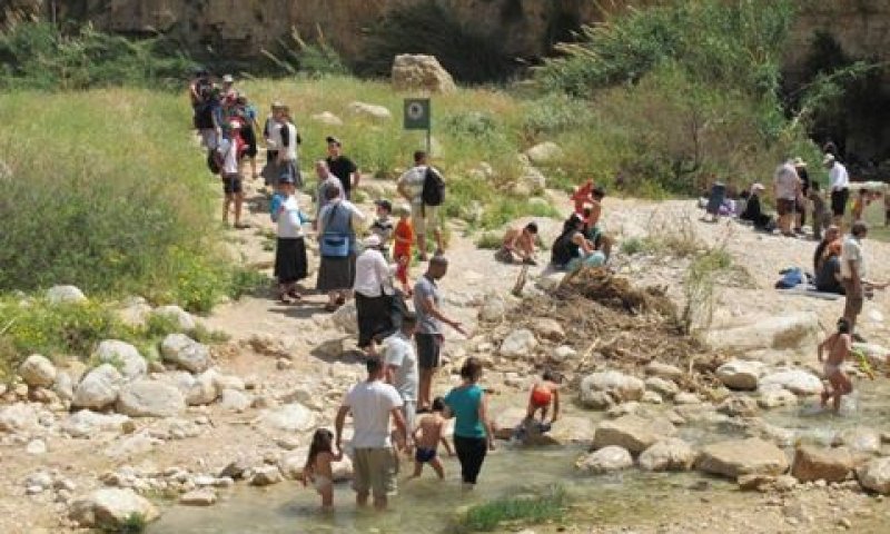 מטיילים בעין מבוע [צילום: שלומי ארמה, רשות הטבע והגנים]