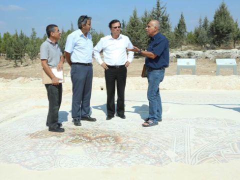 פסיפס באתר בקחוס [צילום: ששון תירם, באדיבות קק"ל]