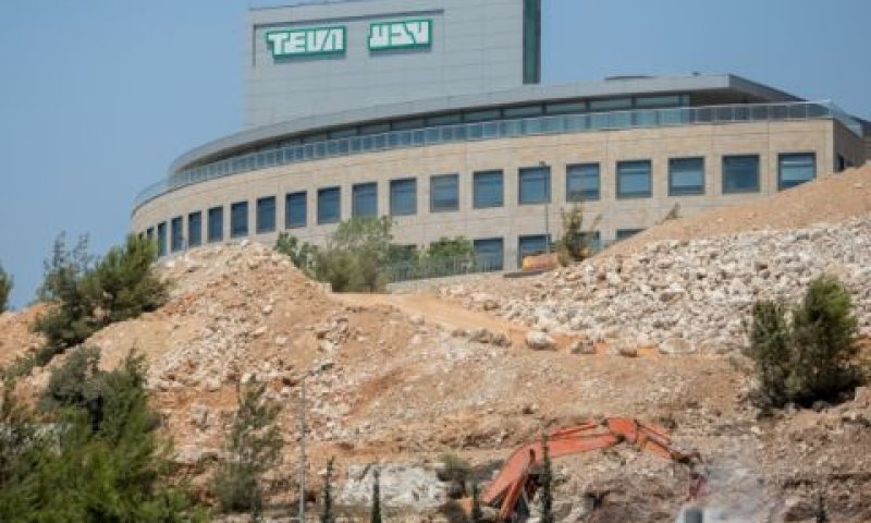 מפעל טבע בהר חוצבים, ירושלים [צילום: יונתן זינדל, פלאש 90]