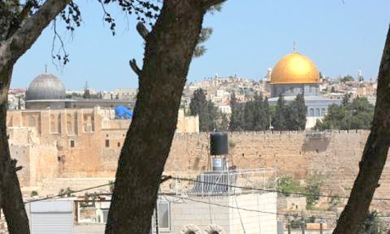 "האם מותר להפיץ את ספרו של מוטה גור?" [צילום: פלאש 90]