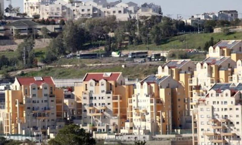 [צילום: פלאש 90]