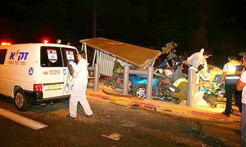 נקטפו באיבם [צילום: פלאש 90]