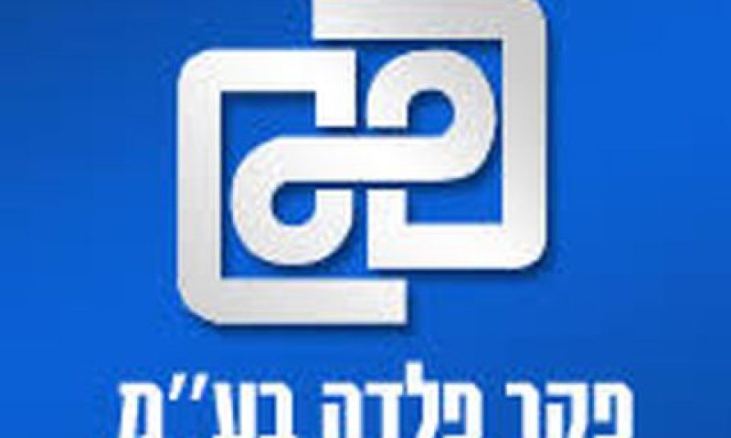 ערבויות וחוב