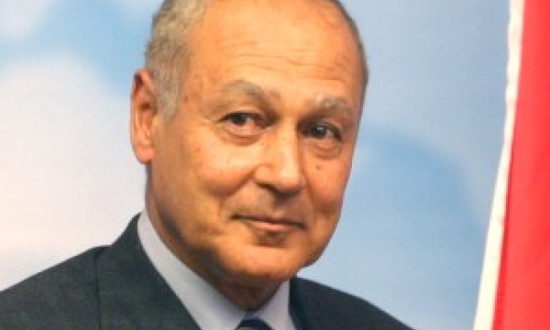 שר החוץ המצרי [צילום: פלאש 90]