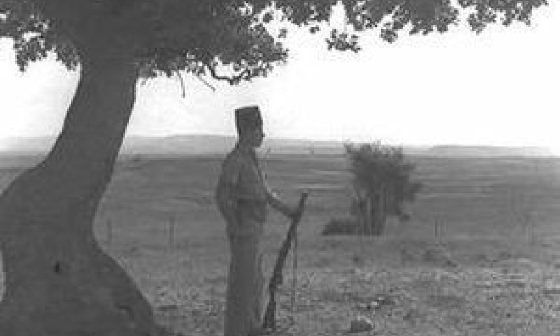 שומר של ההגנה בקיבוץ גן שמואל, כפי שצולם ביום פרסום המסקנות [צילום: זולטן קלוגר/לע"מ]