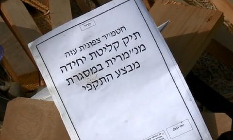 [צילום: מן הטלוויזיה]