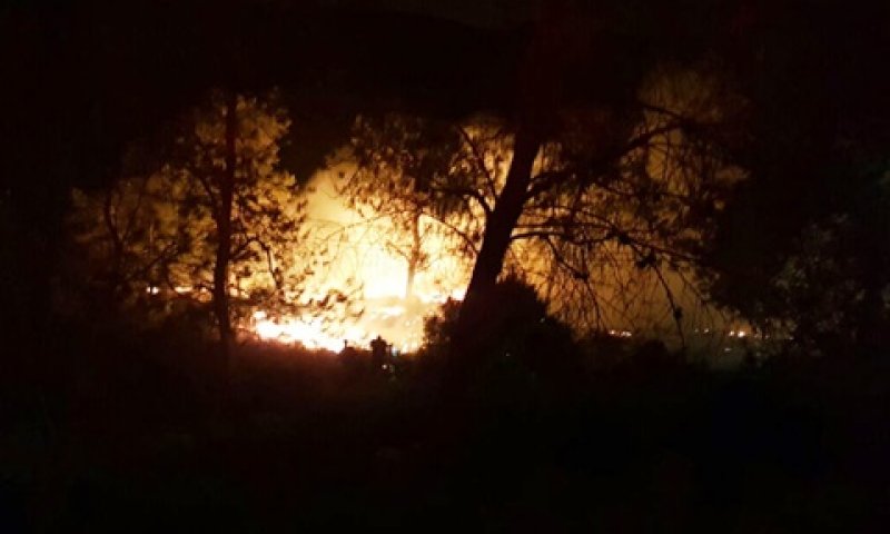 fire1.jpg