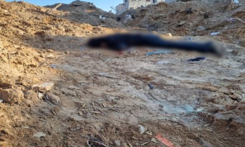 מחבל לאחר חיסולו [צילום: דובר צה''ל]