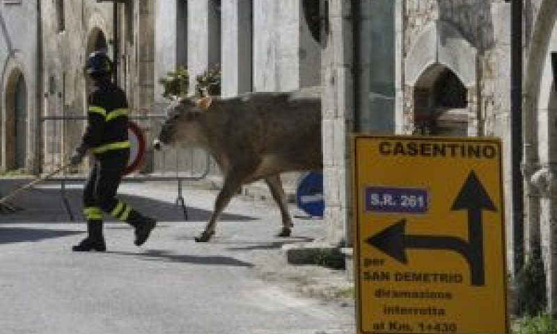 העיירה פוסה שנפגעה מן הרעש בשבוע שעבר [צילום: AP]