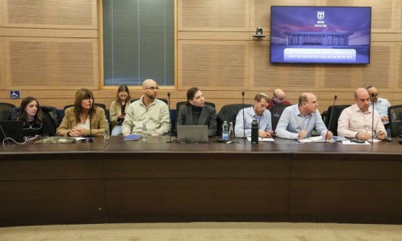 נציגי המקצוע בדיון [צילום: דני שם-טוב/דוברות הכנסת]