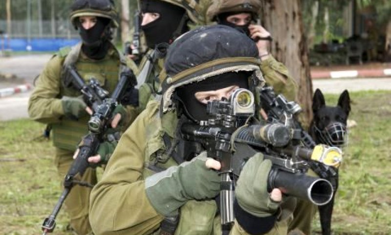 אימון של יחידת יהל"ם [צילום אילוסטרציה: דו"צ]