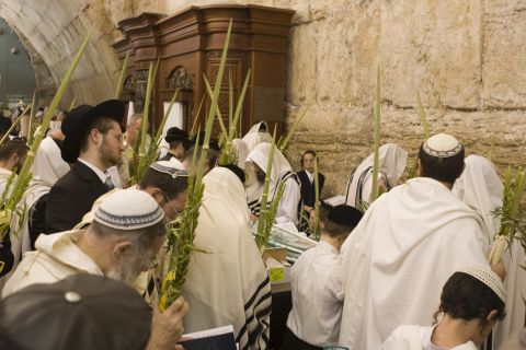 [צילום: פלאש 90]