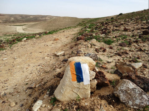 [צילום: דב גרינבלט, החברה להגנת הטבע]
