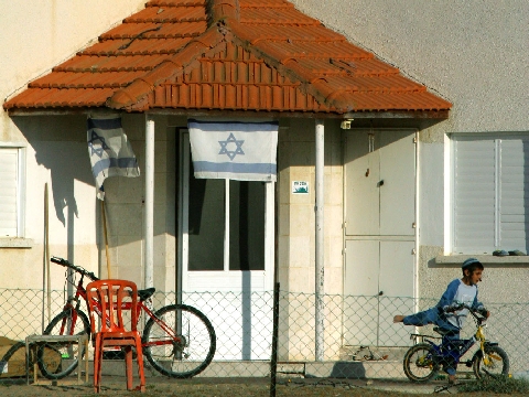 נווה דקלים [AP]