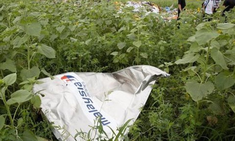שרידי המטוס המלזי שהופל מעל אוקראינה [צילום: AP]