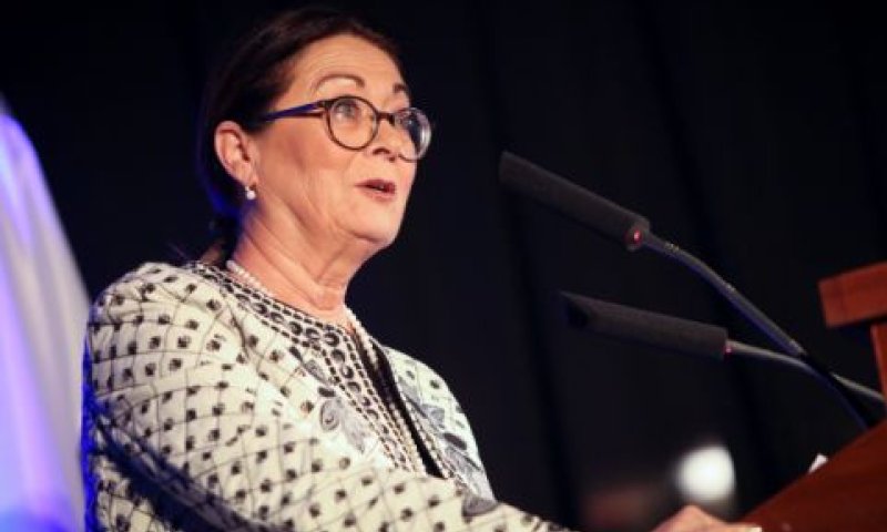 חיות. בית הלל ובית שמאי [צילום: פלאש 90]