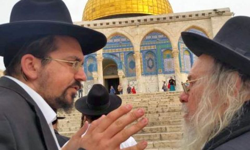 [צילום: חיים קרויזנר/בני עלייה]