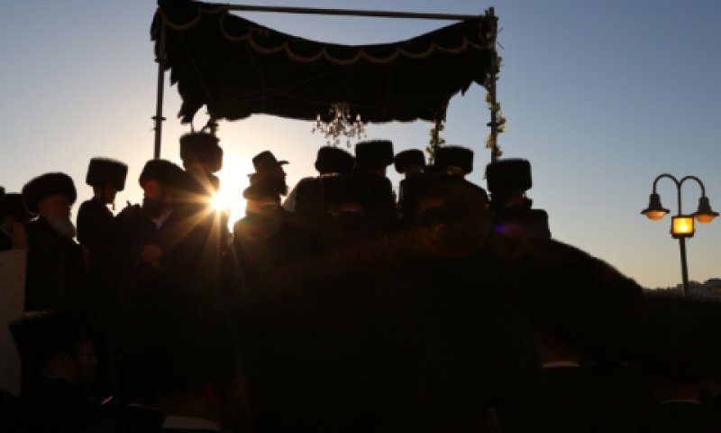 חופה. לא להצטופף [צילום: יעקב לדרמן/פלאש 90]