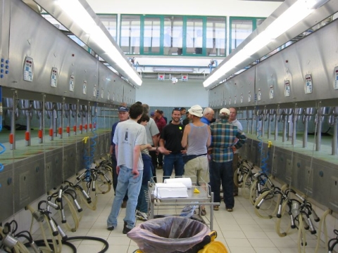 מכון חליבה. מראה מבפנים