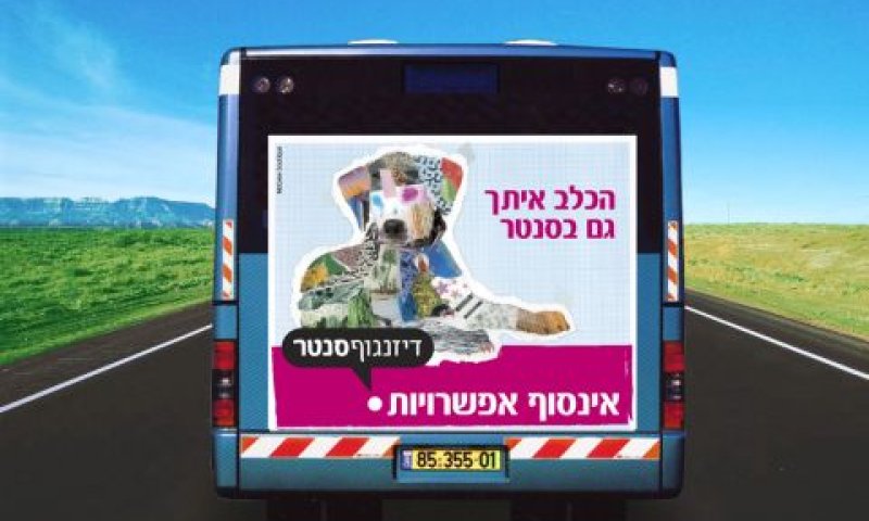 [צילום: עדי בורנשטיין]