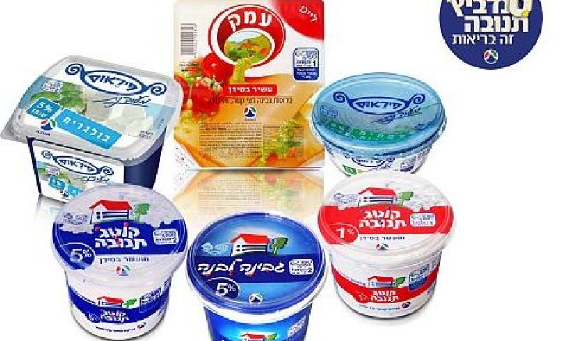 בוחנים הוזלת גבינות נוספות [צילום: יח"צ]