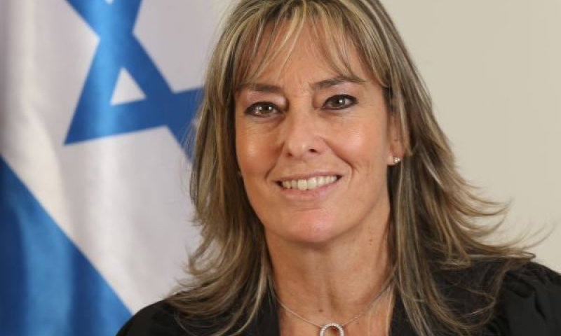 פלינר. אימצה את הסכם הגישור