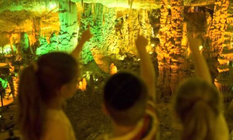 בואו לראות וליהנות [צילום: פלאש 90]