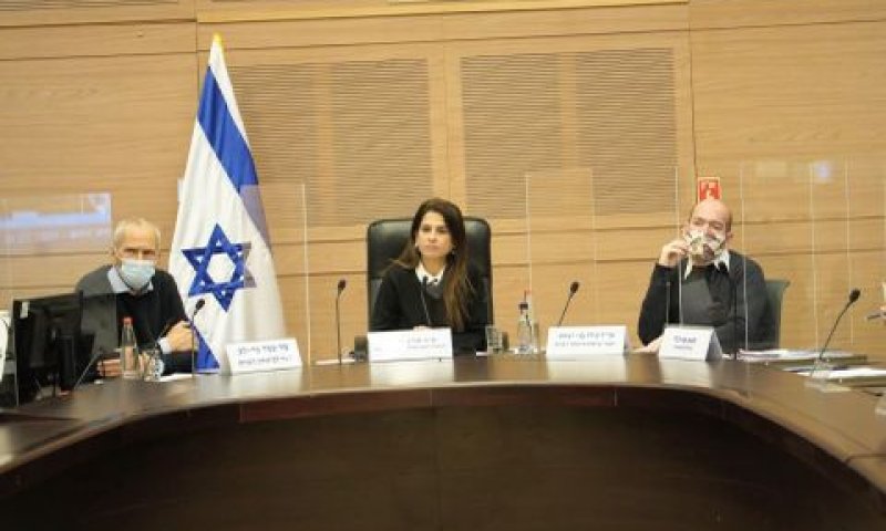הדיון בועדה לביטחון פנים [צילום: דני שם-טוב, דוברות הכנסת]