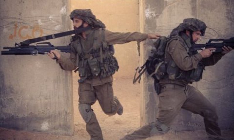 מתאמנים בצאלים [דו"צ]