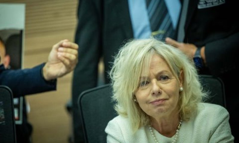 מיארה היום בוועדת החוקה [צילום: יונתן זינדל, פלאש 90]
