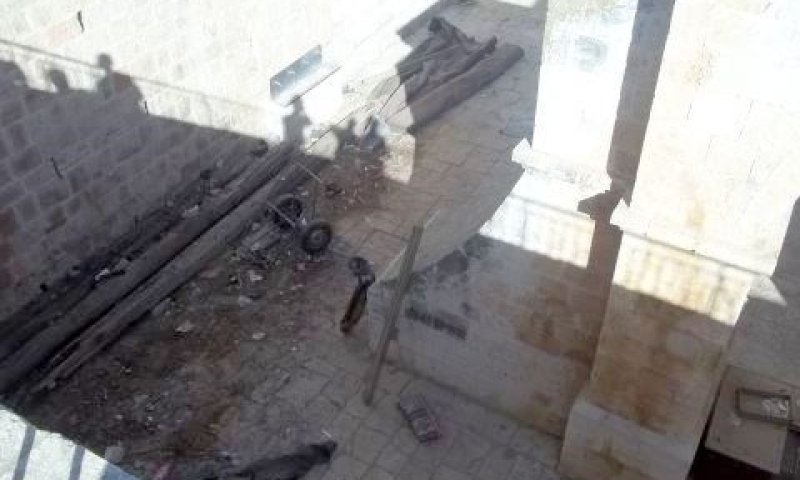 עצי הלבנון מהמשכן מוטלים