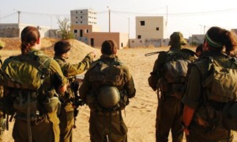 מילואימניקים. יתוגמלו