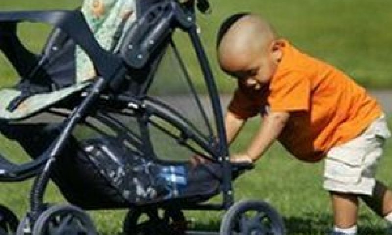 עיכובים ואיבוד טפסים [צילום אילוסטרציה: AP]
