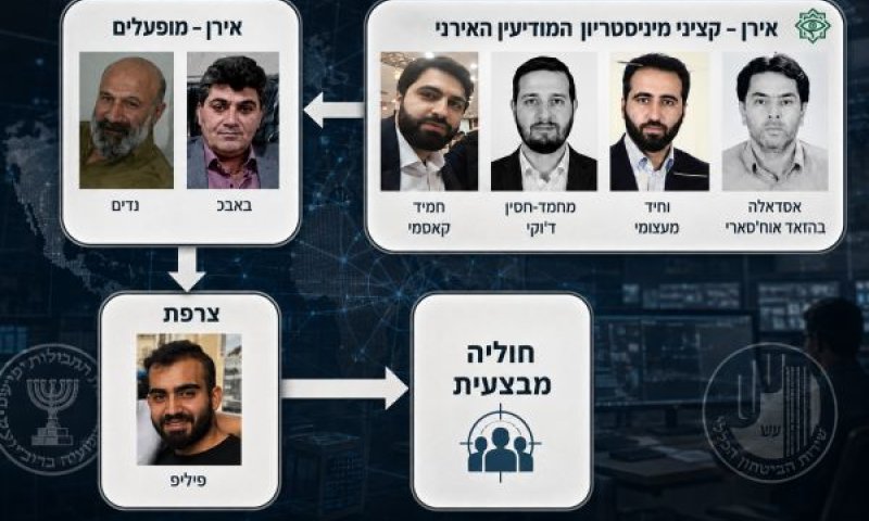 סיכול מוצלח