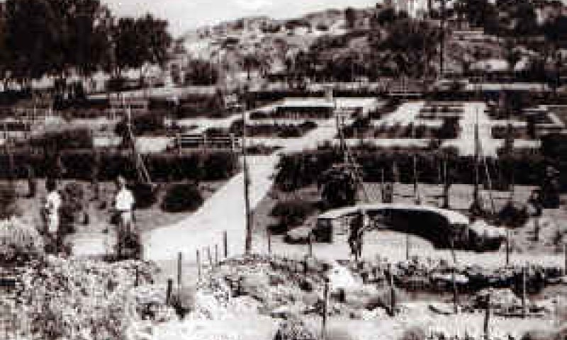 נתניה