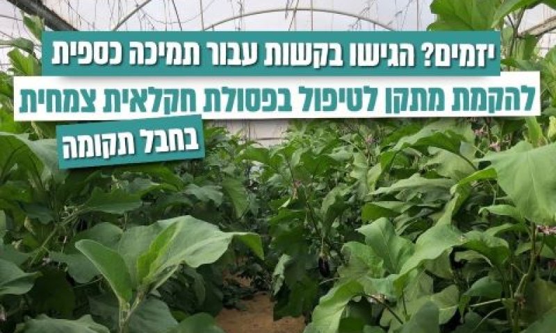40 מיליון שקל [צילום: המשרד להגנת הסביבה]