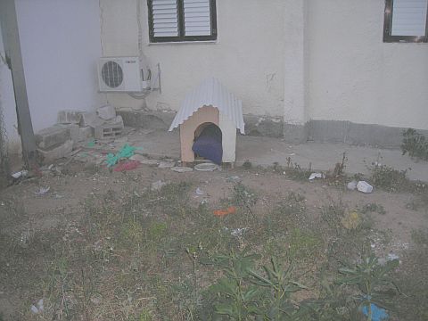 ננטשו בחצר הבית [צילום: יח"צ]
