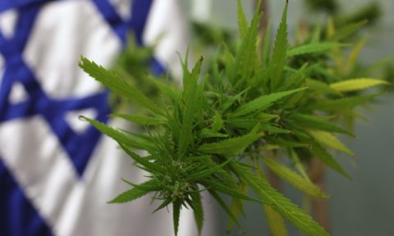 לקראת לגליזציה [צילום: פלאש 90]