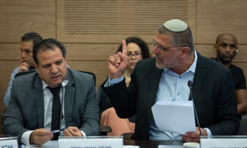 ח"כ בוארון וח"כ עודה בדיון בוועדת הכנסת [צילום: אורן בן חקון/פלאש 90]