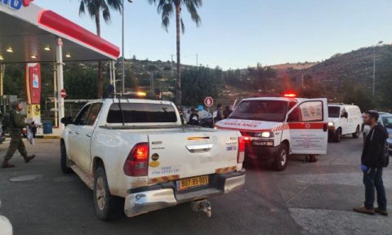 [צילום: דוברות עלי]