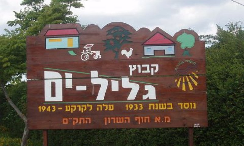 קיבוץ גליל ים. הפרות חוזרות ונשנות [צילום: דוד שי]