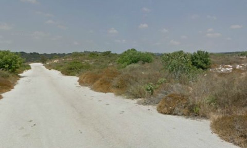 [צילום: סטריט ויוויו]