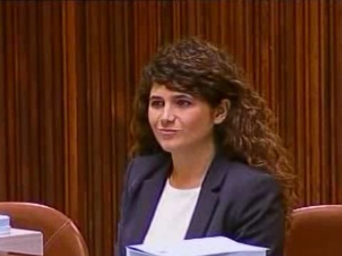 ח"כ שרן השכל [צילום: מן הטלוויזיה]
