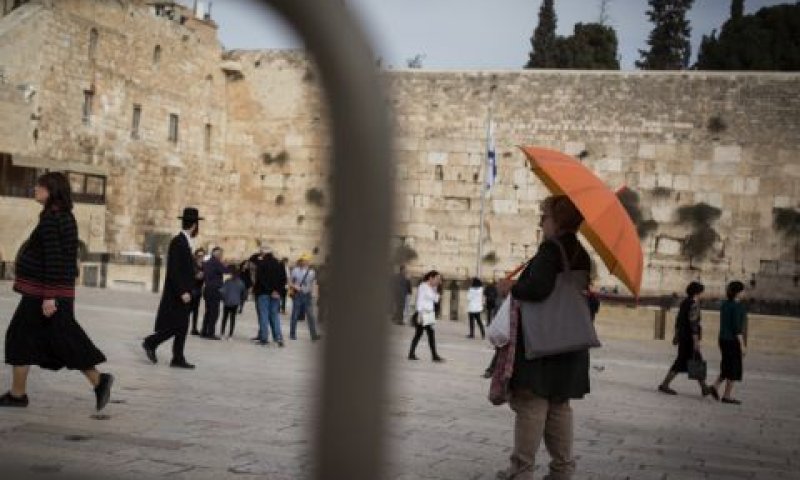 למנוע מחזות אלימים [צילום: סבי ברנס, פלאש 90]