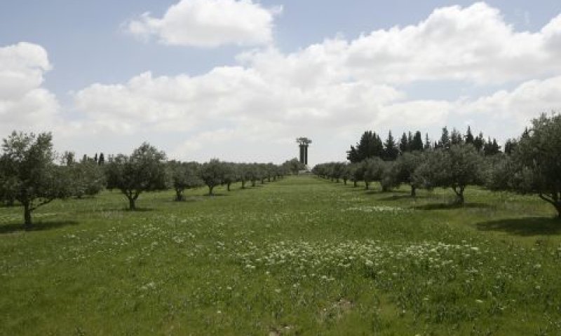 רמת רחל [צילום: אביר סולטן/פלאש 90]