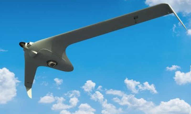 מערכת WASP על גבי מל"ט טקטי BirdEYE650D [צילום: התעשייה האווירית]